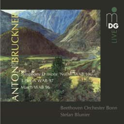Zeige Details für Anton Bruckner - Orchesterwerke Bild von Anton Bruckner - Orchesterwerke