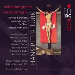 Zeige Details für Hans Peter Türk - Siebenbürgische Passionsmusik Bild von Hans Peter Türk - Siebenbürgische Passionsmusik