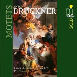 Zeige Details für Anton Bruckner - Motetten Bild von Anton Bruckner - Motetten