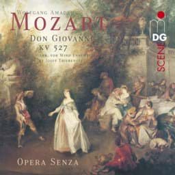 Zeige Details für W. A. Mozart - Don Giovanni (Harmoniemusik) Bild von W. A. Mozart - Don Giovanni (Harmoniemusik)