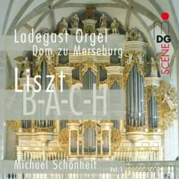 Zeige Details für Franz Liszt & J.S. Bach - Orgelwerke Bild von Franz Liszt & J.S. Bach - Orgelwerke
