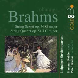 Zeige Details für Johannes Brahms - Kammermusik Bild von Johannes Brahms - Kammermusik