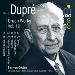 Zeige Details für Marcel Dupré - Sämtliche Orgelwerke Vol. 12 Bild von Marcel Dupré - Sämtliche Orgelwerke Vol. 12