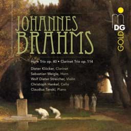 Zeige Details für Johannes Brahms - Kammermusik Bild von Johannes Brahms - Kammermusik