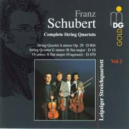 Zeige Details für Franz Schubert - Sämtliche Streichquartette Vol. 2 Bild von Franz Schubert - Sämtliche Streichquartette Vol. 2