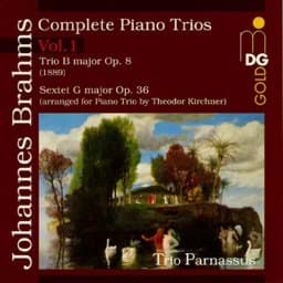 Zeige Details für Johannes Brahms - Sämtliche Klaviertrios Vol. 1 Bild von Johannes Brahms - Sämtliche Klaviertrios Vol. 1