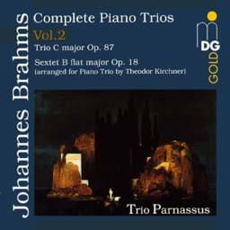 Zeige Details für Johannes Brahms - Sämtliche Klaviertrios Vol. 2 Bild von Johannes Brahms - Sämtliche Klaviertrios Vol. 2