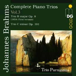 Zeige Details für Johannes Brahms - Sämtliche Klaviertrios Vol. 3 Bild von Johannes Brahms - Sämtliche Klaviertrios Vol. 3