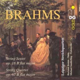 Zeige Details für Johannes Brahms - Kammermusik Bild von Johannes Brahms - Kammermusik