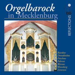 Zeige Details für Orgelbarock in Mecklenburg Bild von Orgelbarock in Mecklenburg