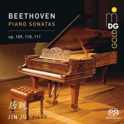 Zeige Details für Ludwig van Beethoven - Klaviersonaten Vol. 1 Bild von Ludwig van Beethoven - Klaviersonaten Vol. 1