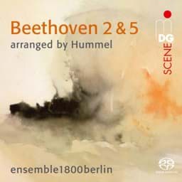 Zeige Details für L. v. Beethoven/ J. N. Hummel - Symphonien Nr. 2 & Nr. 5 Bild von L. v. Beethoven/ J. N. Hummel - Symphonien Nr. 2 & Nr. 5