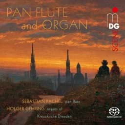 Zeige Details für Panflöte und Orgel Bild von Panflöte und Orgel
