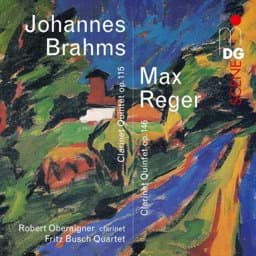 Zeige Details für J. Brahms & M. Reger - Klarinettenquintette Bild von J. Brahms & M. Reger - Klarinettenquintette