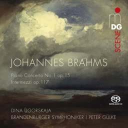 Zeige Details für Johannes Brahms - Orchesterwerke Bild von Johannes Brahms - Orchesterwerke