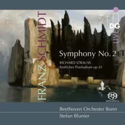 Zeige Details für Franz Schmidt & Richard Strauss - Orchesterwerke Bild von Franz Schmidt & Richard Strauss - Orchesterwerke