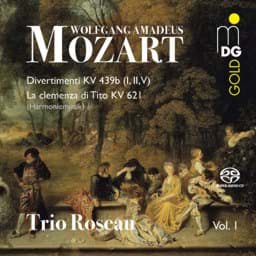 Zeige Details für W. A. Mozart - Harmoniemusik Vol. 1 Bild von W. A. Mozart - Harmoniemusik Vol. 1