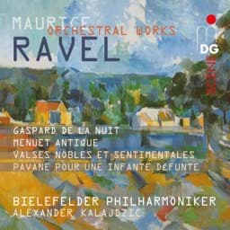 Zeige Details für Maurice Ravel - Orchesterwerke Bild von Maurice Ravel - Orchesterwerke