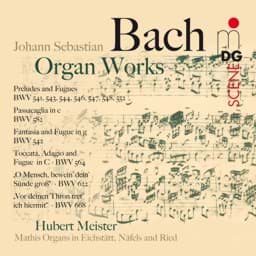 Zeige Details für J. S. Bach - Orgelwerke Bild von J. S. Bach - Orgelwerke