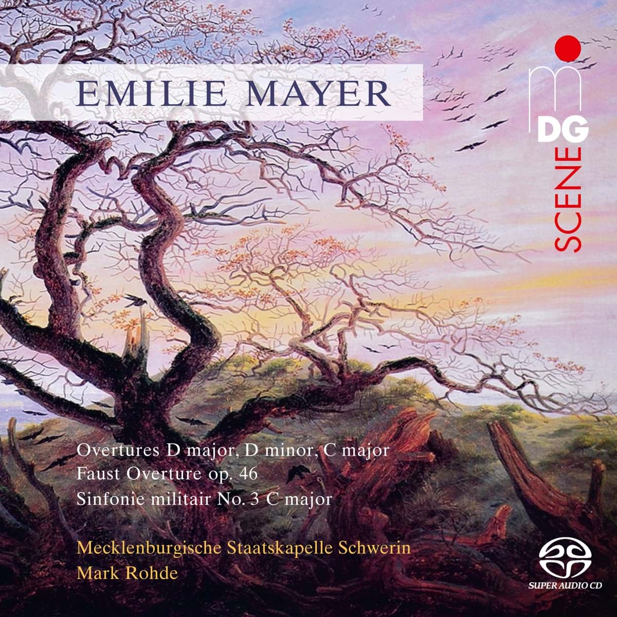 Bild von Emilie Mayer - Orchesterwerke